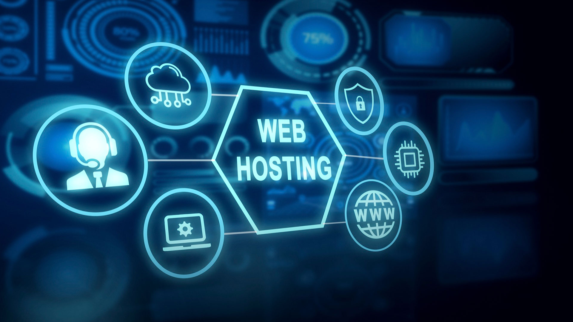Domain & Web Hosting