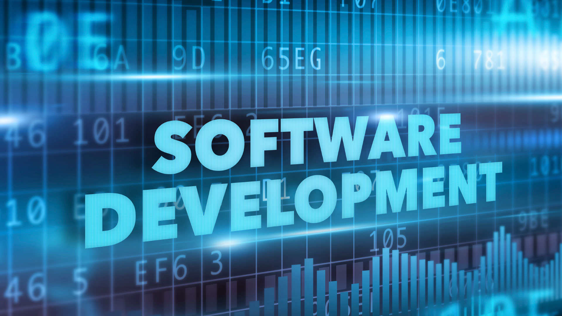 Software Development